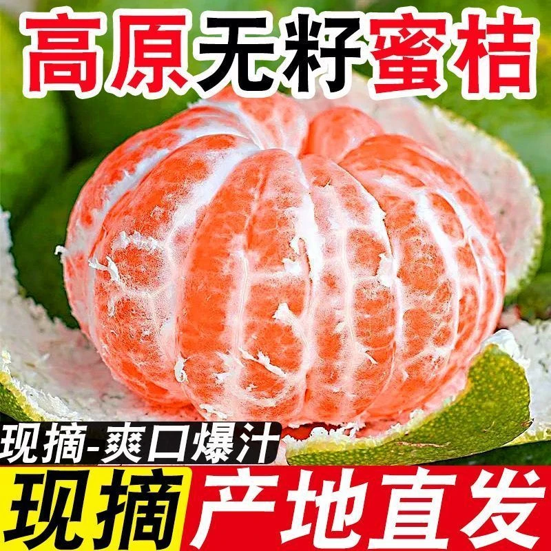 青皮无籽蜜桔新鲜应季水果酸甜多汁适合酸甜