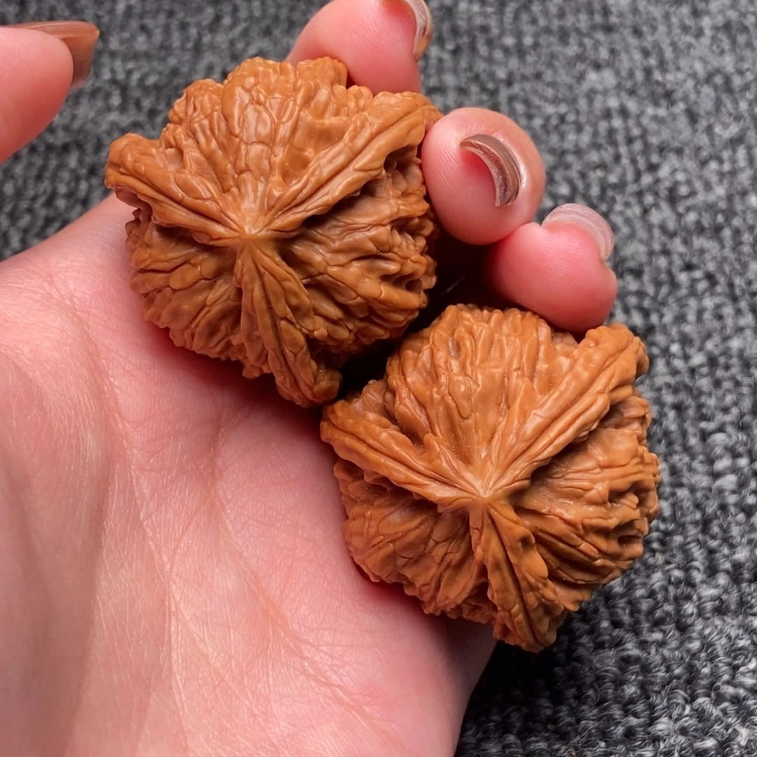 四***毛木质类白狮子正奔