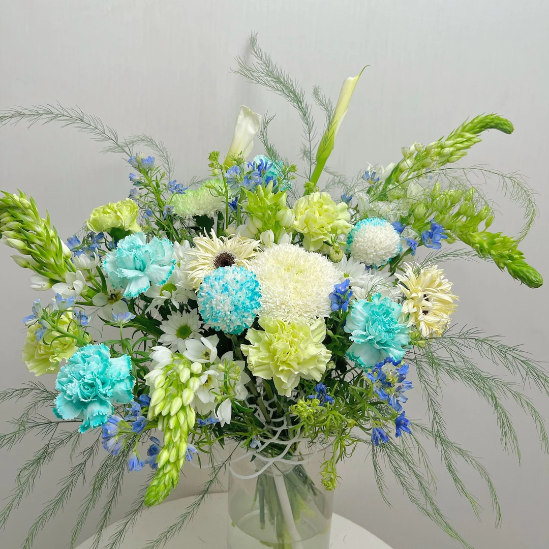 【初夏】面包菊2 吸色康乃馨4 绿色康乃馨4 白色小菊2 圣心百合5马蹄莲2吸色乒乓菊2拉丝弗朗2蓝色小飞燕芦荀草