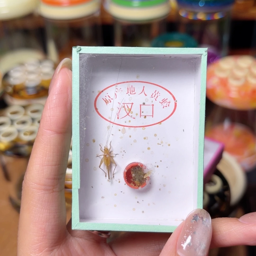 ·***啊一只大黄蛉哈哈哈哈