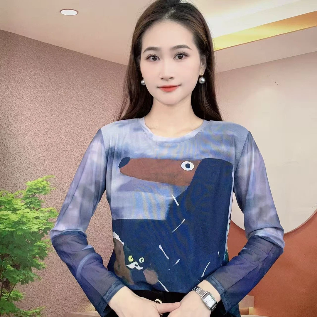 2025夏季新款时尚百搭显瘦气质肌肤纱长袖圆领T恤印花上衣A336