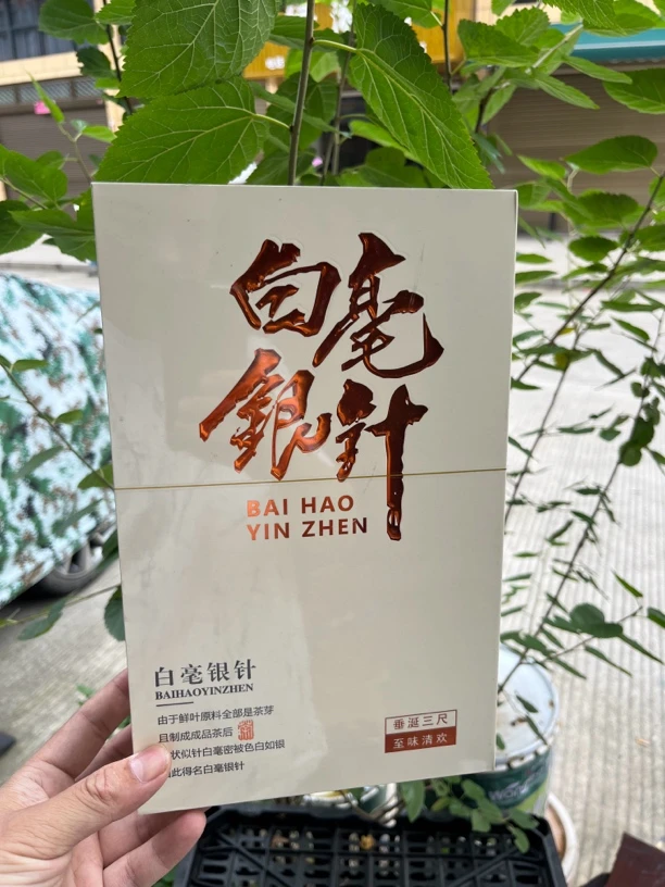 柏柳世家 2024白毫银针 100克/盒