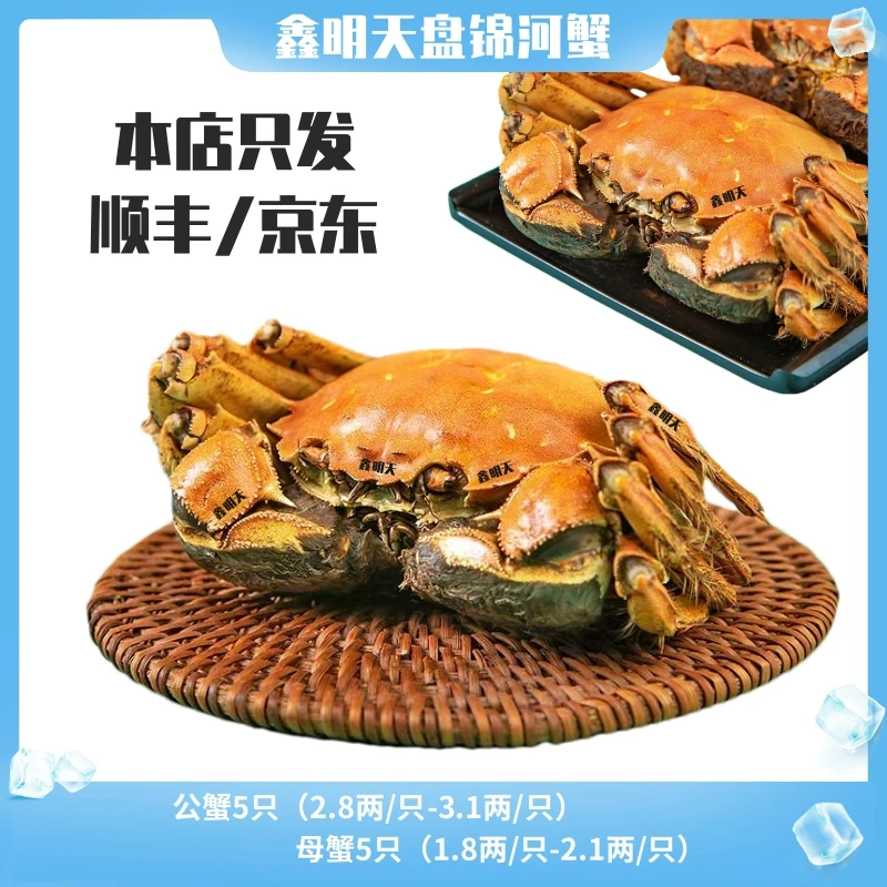【活蟹】盘锦河蟹 5只2.8-3.1两公蟹+5只1.8-2.1两母蟹【商务招待】