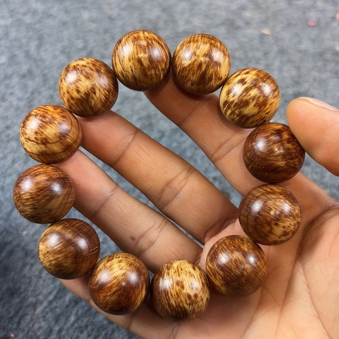 冰***焰崖柏2.0妖孽雪花变异瘤加蚂蚁腿