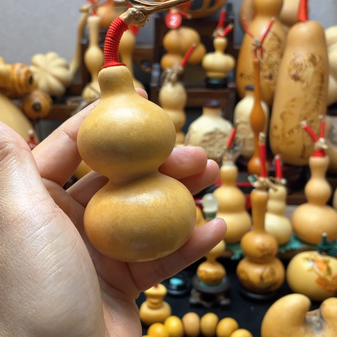 行*人大自然的秘密第十一节你是