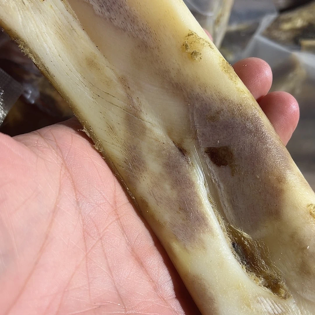 一***缘ZXhu整个超大整个超大