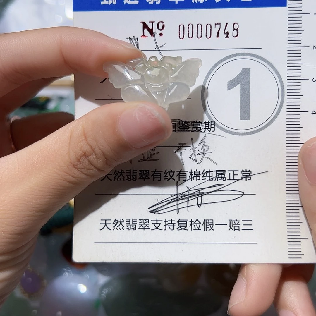 翡翠未镶嵌颈饰天然A货翡翠