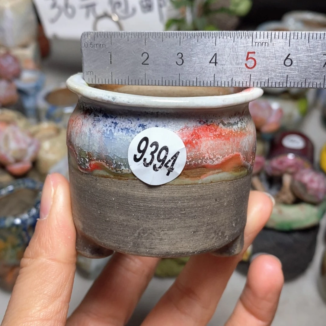 花盆拍5送一个小礼物