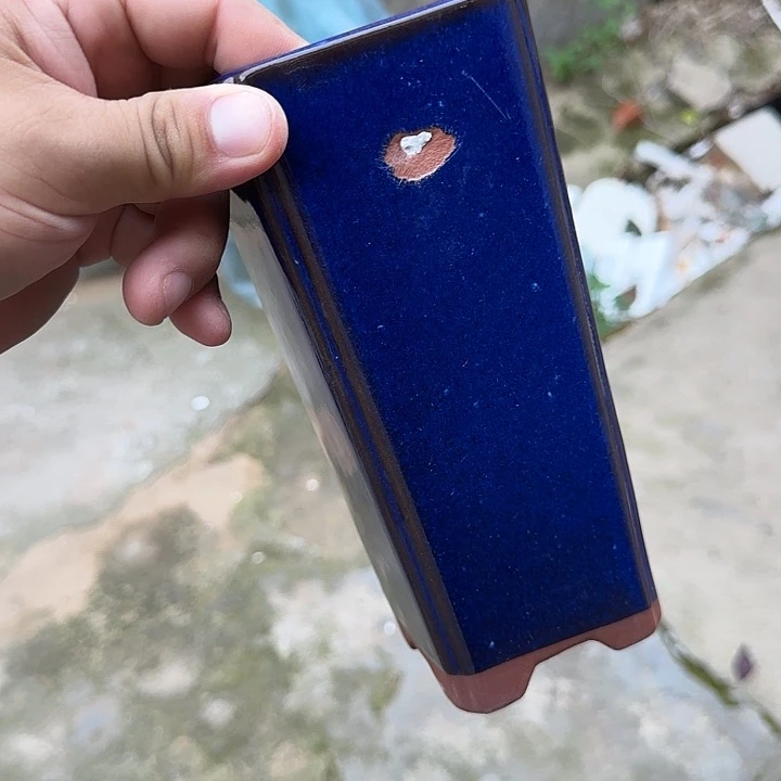 在这里我们都有很多话