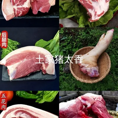 （现场称重）农家土黑猪新鲜现发顺丰空运包邮新鲜发货
