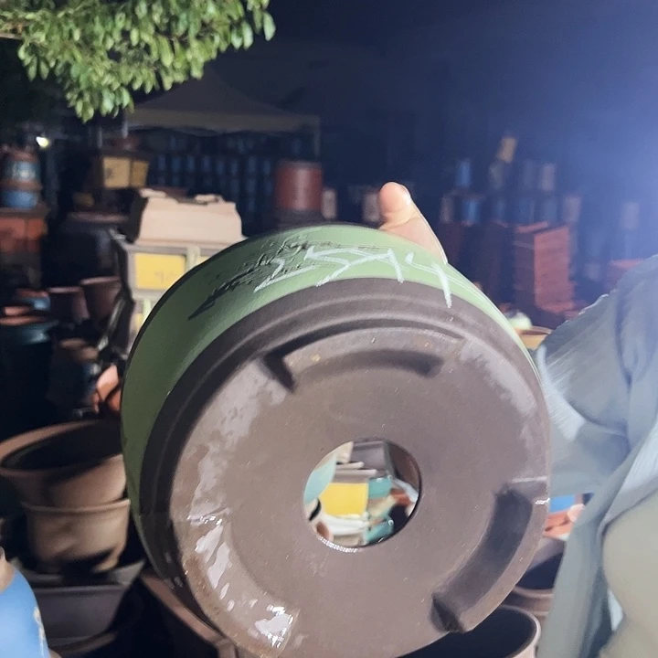 苹果绿萝大号一个