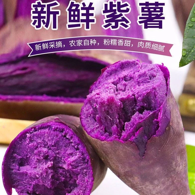 新鲜紫薯紫软糯香甜无丝紫色番薯粗粮早餐辅食3斤装