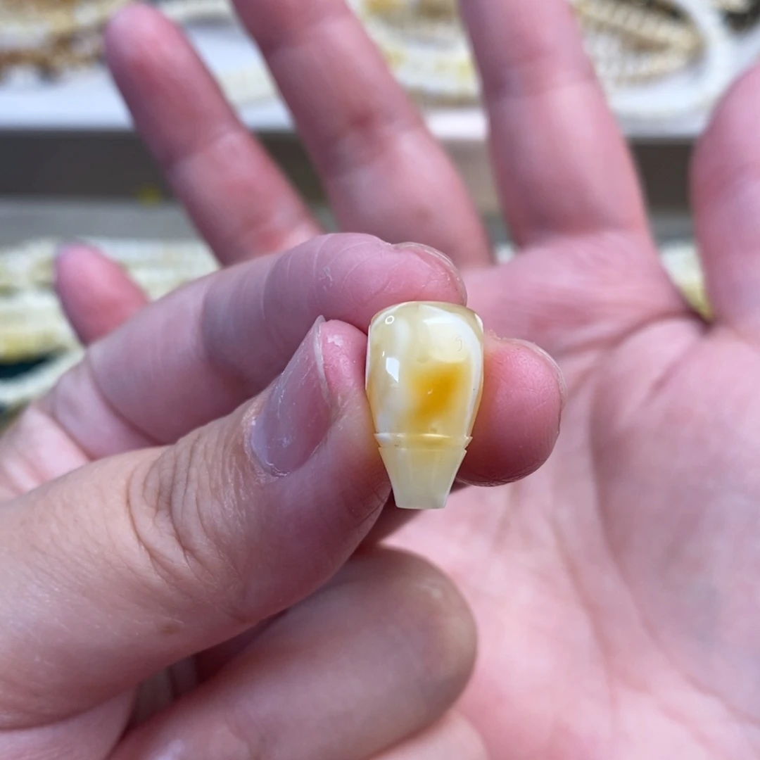 未镶嵌琥珀裸石金瓷白三通9.7