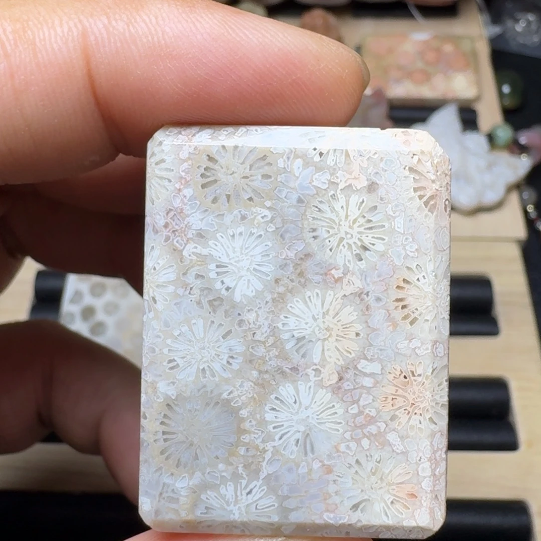 未镶嵌纯天然色有机玉石保真色硅化玉