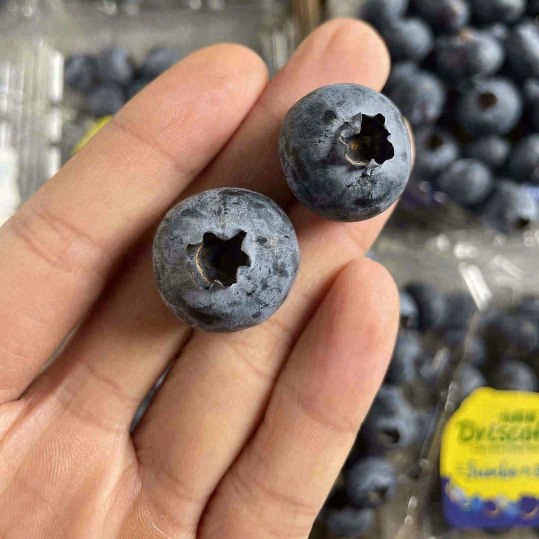 云南，009怡颗梅蓝莓，14mm，一盒125克，13一盒云南省