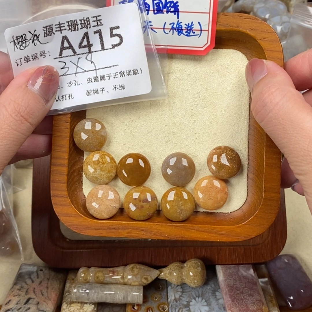 *****硅化玉未镶嵌颈饰