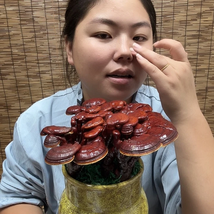 无花朵独****灵芝孢子粉和