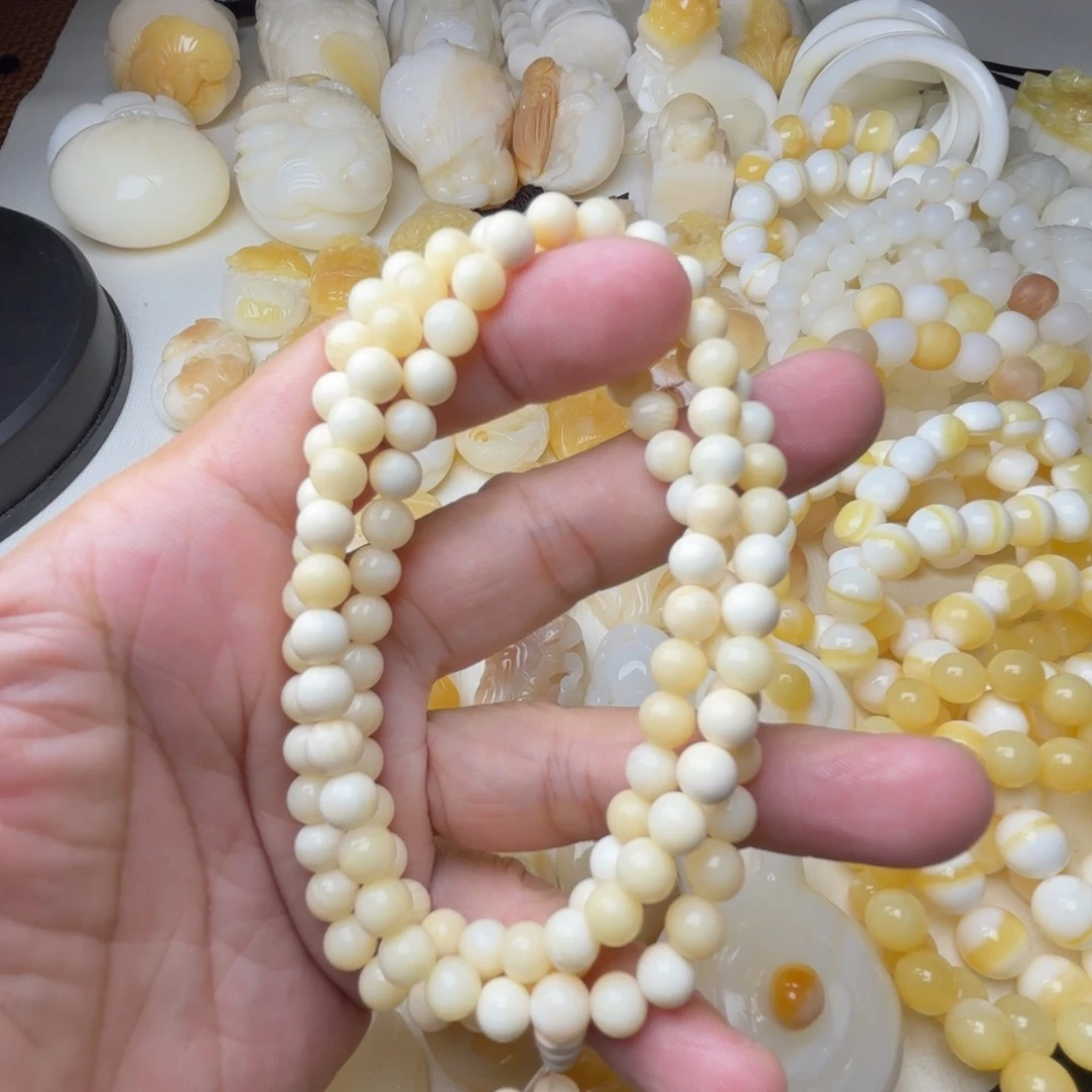 贝壳非金属天然贝壳