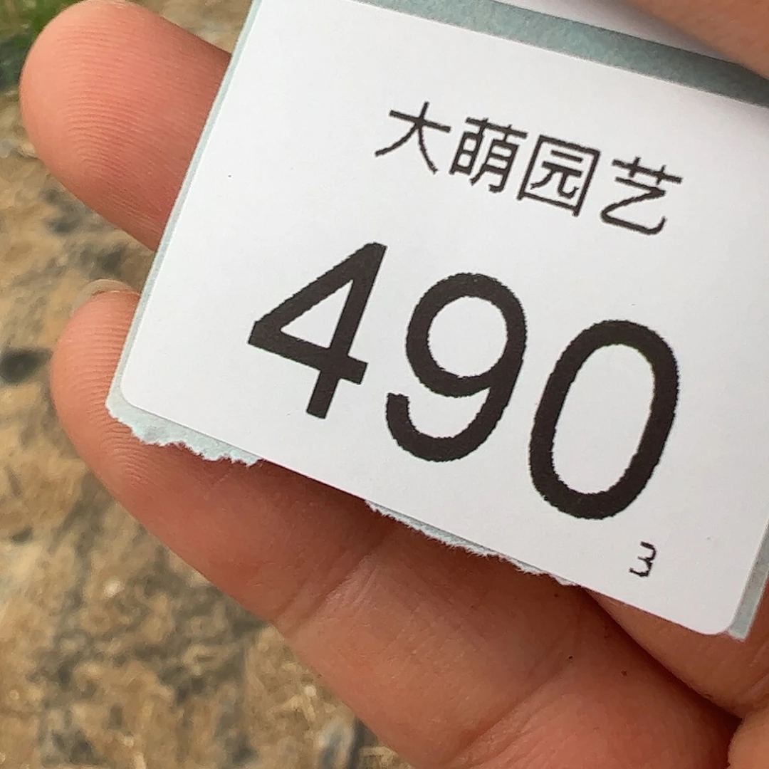 流***瑶一物一拍……。     490