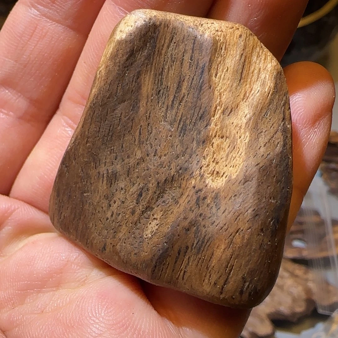 沉香碎屑沉香4.56克莱特岛9分沉老料