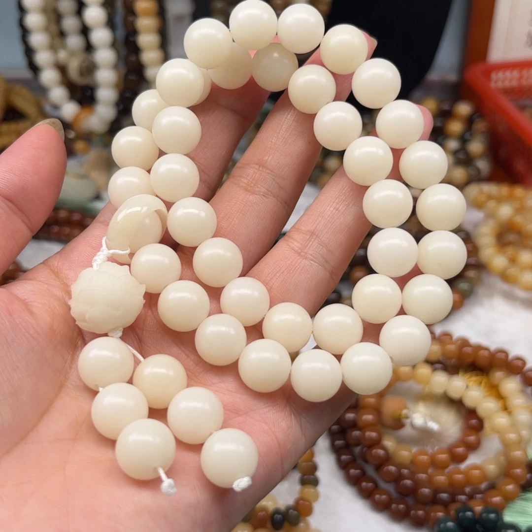 吊坠菩提根/象牙果