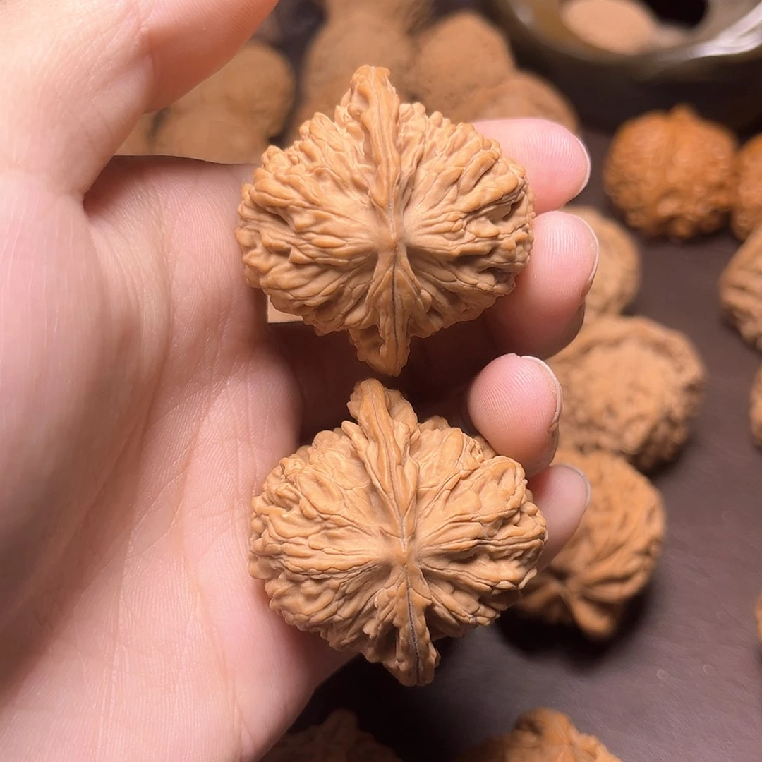 小****）四座楼四座楼四座楼