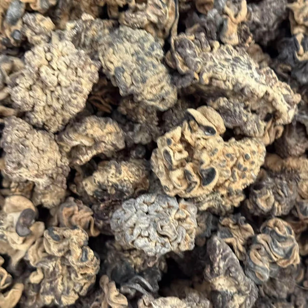 【真实惠】猴脑菌核桃菌干货自然晾晒高端食用菌类