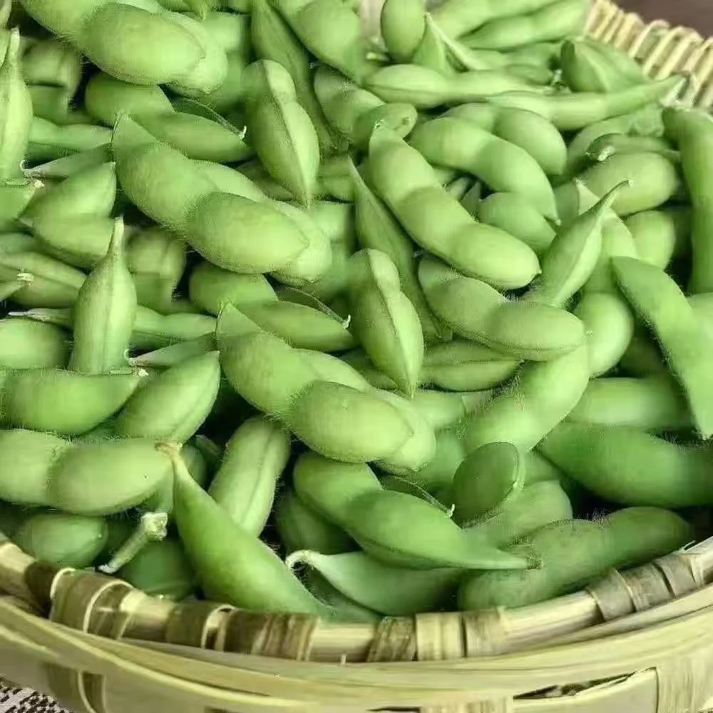 新鲜带壳毛豆5斤青豆现摘现发手工挑选