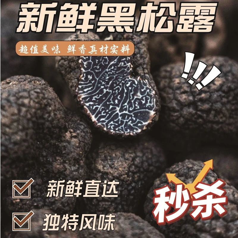 【香格里拉新鲜黑松露】新鲜黑松露礼品级顺丰冷链包邮直达