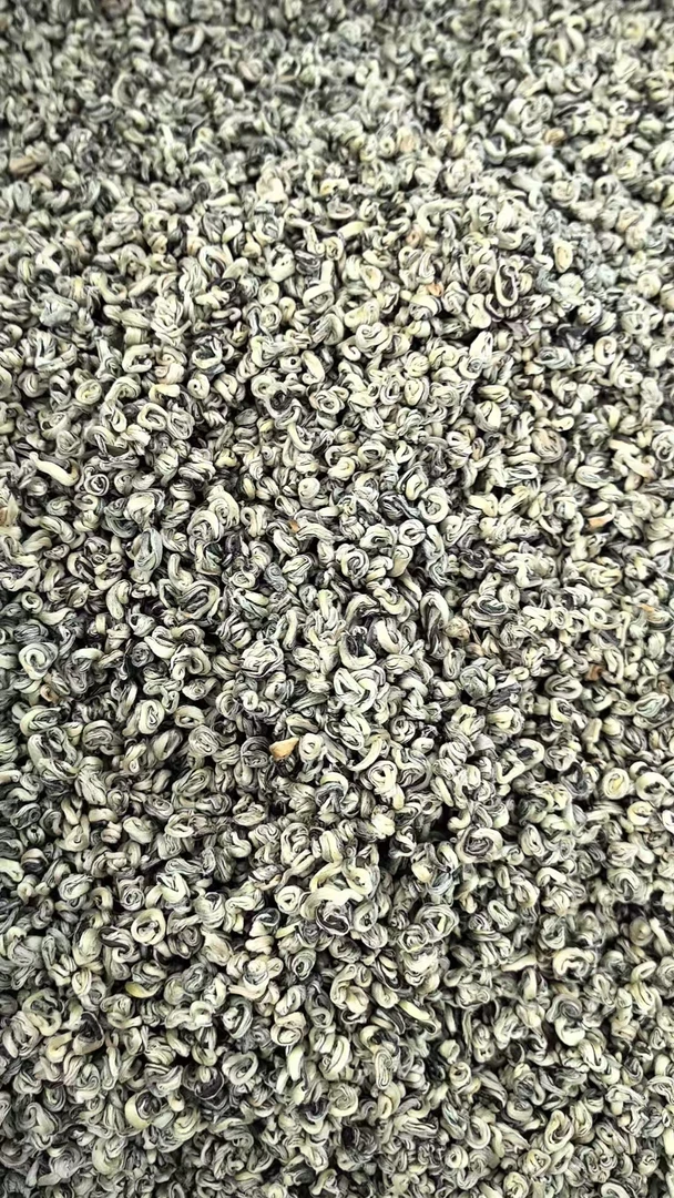 【龙哥私房茶】绿螺 滇绿2025年 云南绿茶散茶