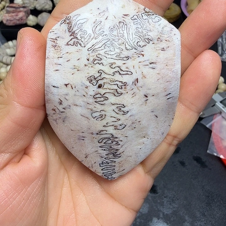 大***叔养殖具头骨制作三界牌