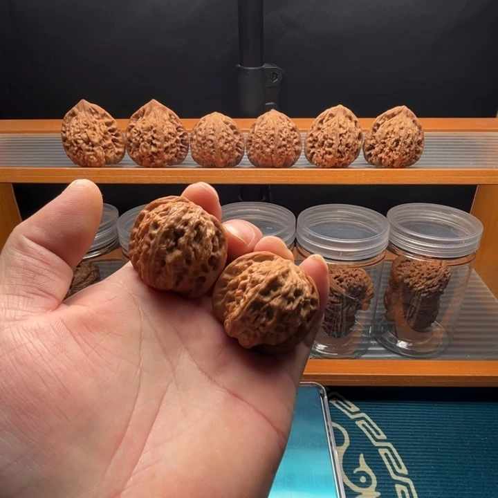 吊坠龙脊菩提全品37磨盘一对。