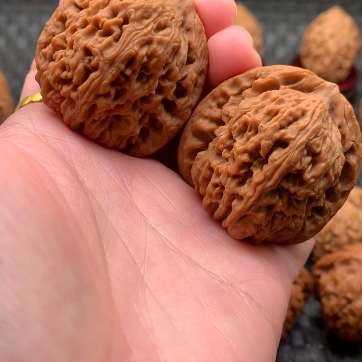 来****141全品南疆石狮子头