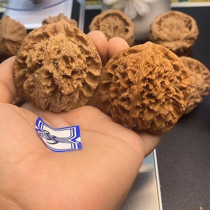 财***源把件文玩核桃50大花