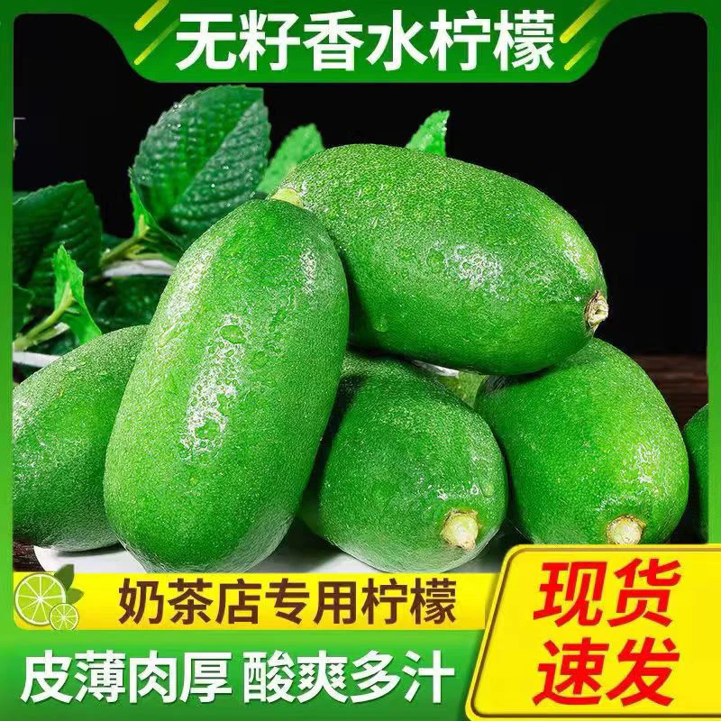 香水【青柠檬】新鲜无籽香水柠檬皮薄多汁果香十足奶茶店同款