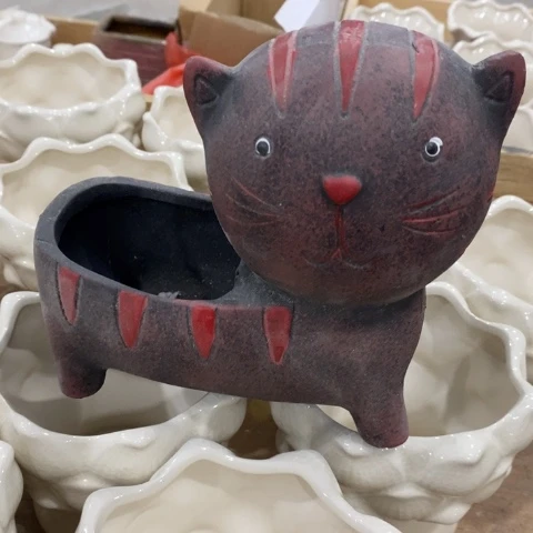 大头猫331313133131