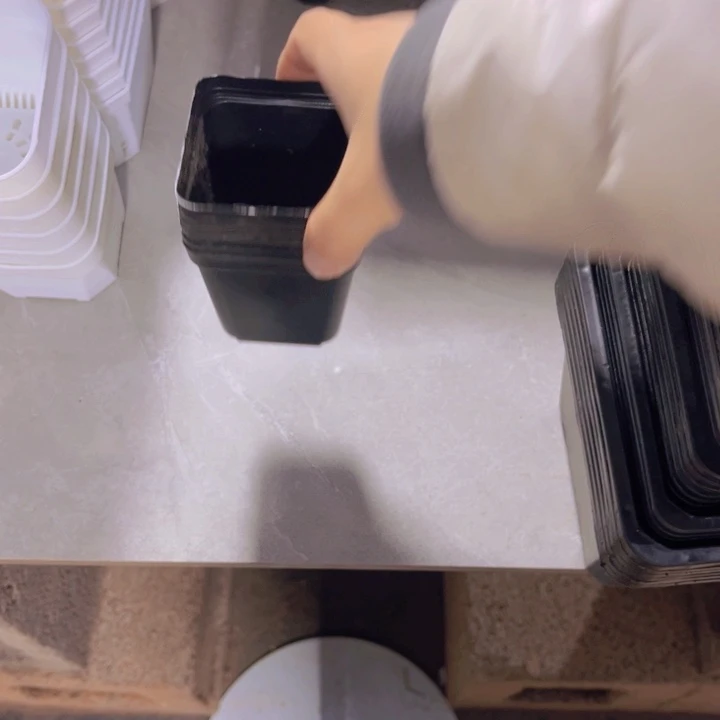 7黑方软盆口7高7一组100个