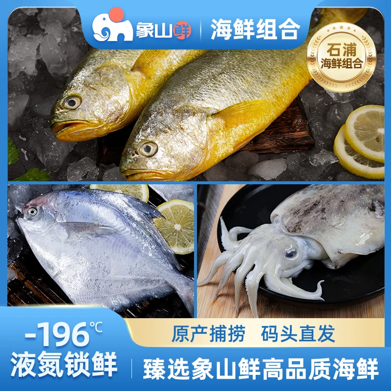 象山鲜东海原产海鲜组合带鱼段小黄鱼墨鱼海鲜套餐液氮锁鲜