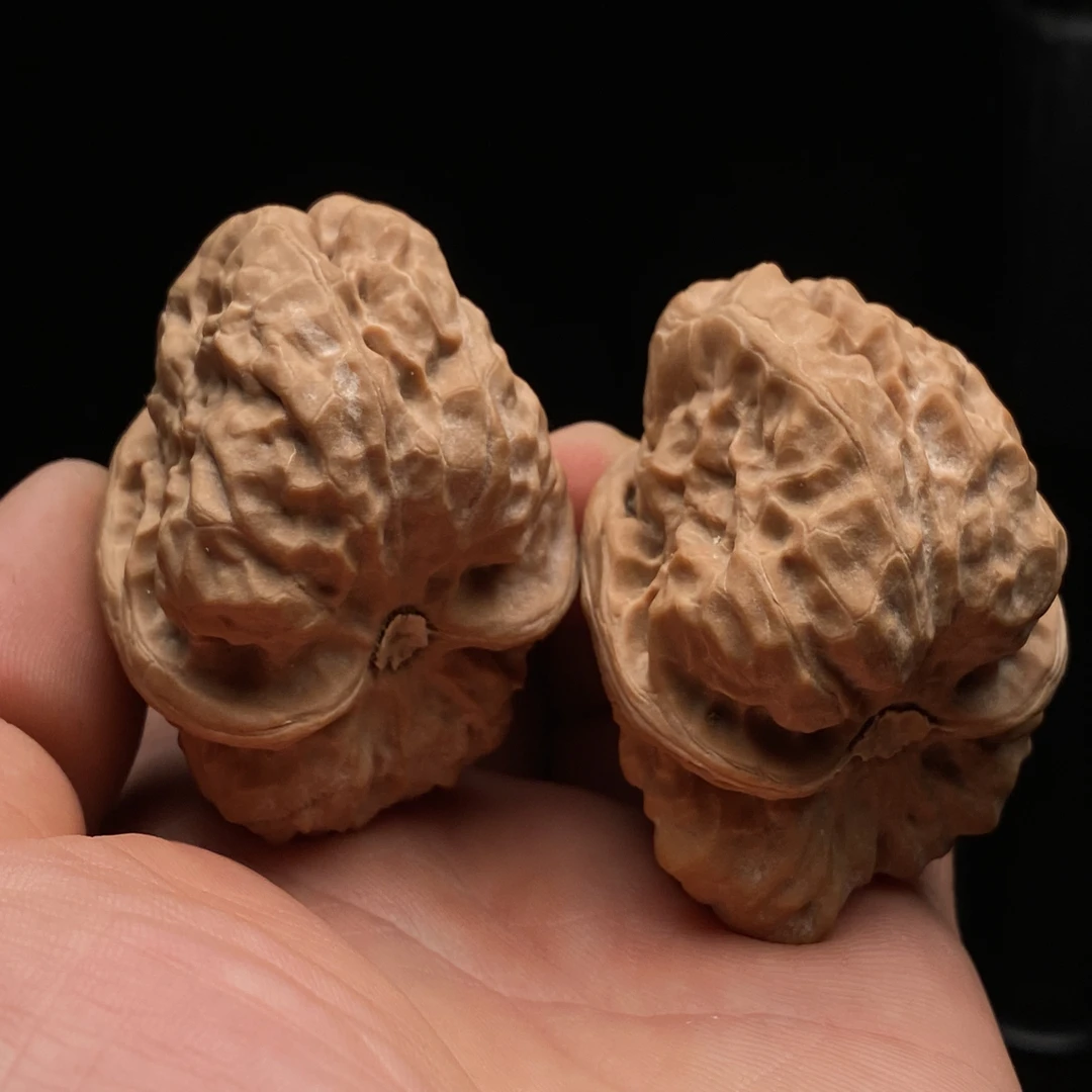 编号25006，边41肚46。延庆一代蛤蟆头，麻麻赖赖大高背！下拉详情页