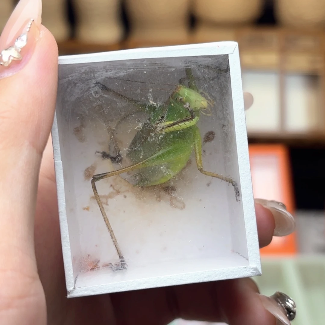 哈哈哈哈哈哈哈哈哈哈