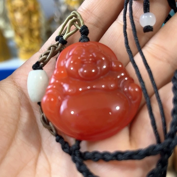 茶宠哈哈哈哈哈哈哈哈哈哈哈