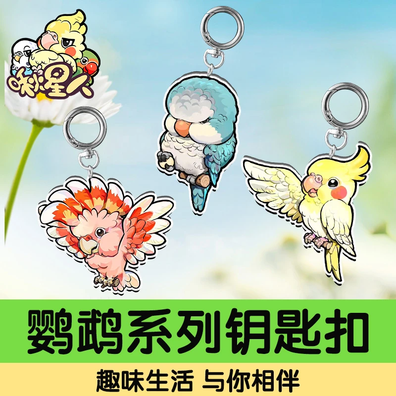 鹦鹉卡通钥匙扣挂件高清亚克力背包挂件小太阳挂饰礼物