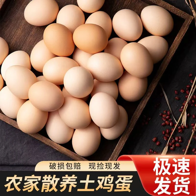 (50枚）农家散养新鲜营养土鸡蛋正宗草鸡蛋笨鸡蛋野外虫草蛋