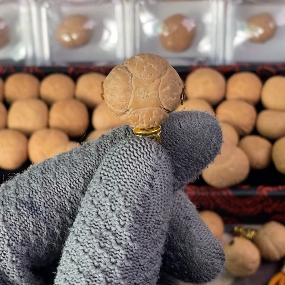 吊坠凤眼菩提20.2麒麟单颗