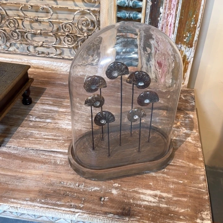 健***者铁木（非红木类）家居用品行业发展