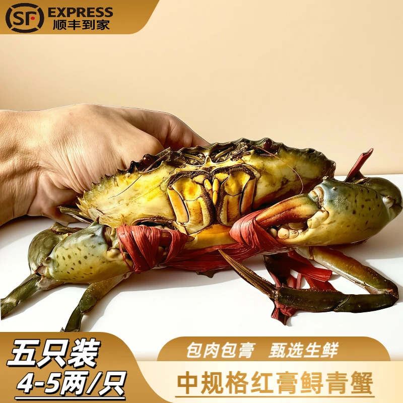 【五只装中红膏鲟中规格青蟹】母蟹无绳子单只净重3-4两【包膏满肉】