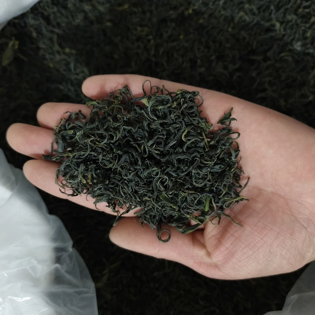 2025彭河弦月炒青绿茶口粮茶浓香耐泡送一两装小袋免费试喝