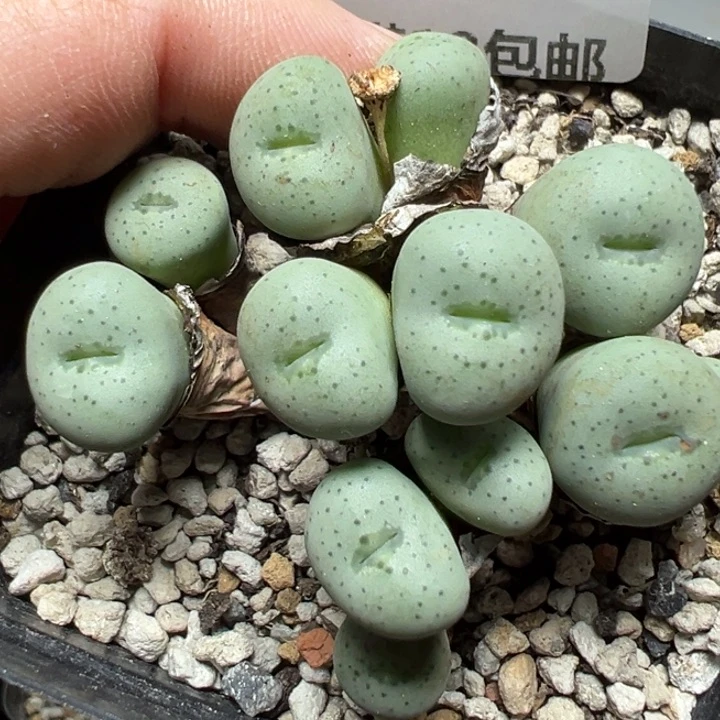 【闪购商品】1061……