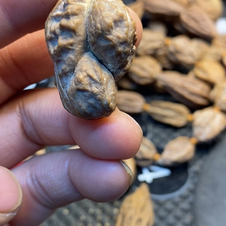 吊坠文玩核桃娜姐40