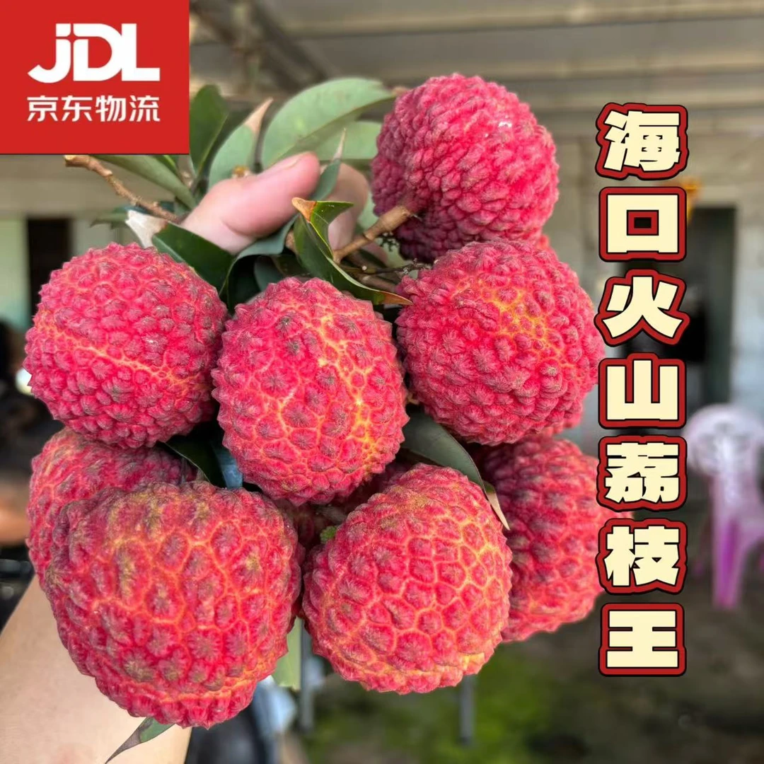 【空运！火山荔枝王】海口火山荔枝王现摘先发包邮礼盒发出新鲜水果